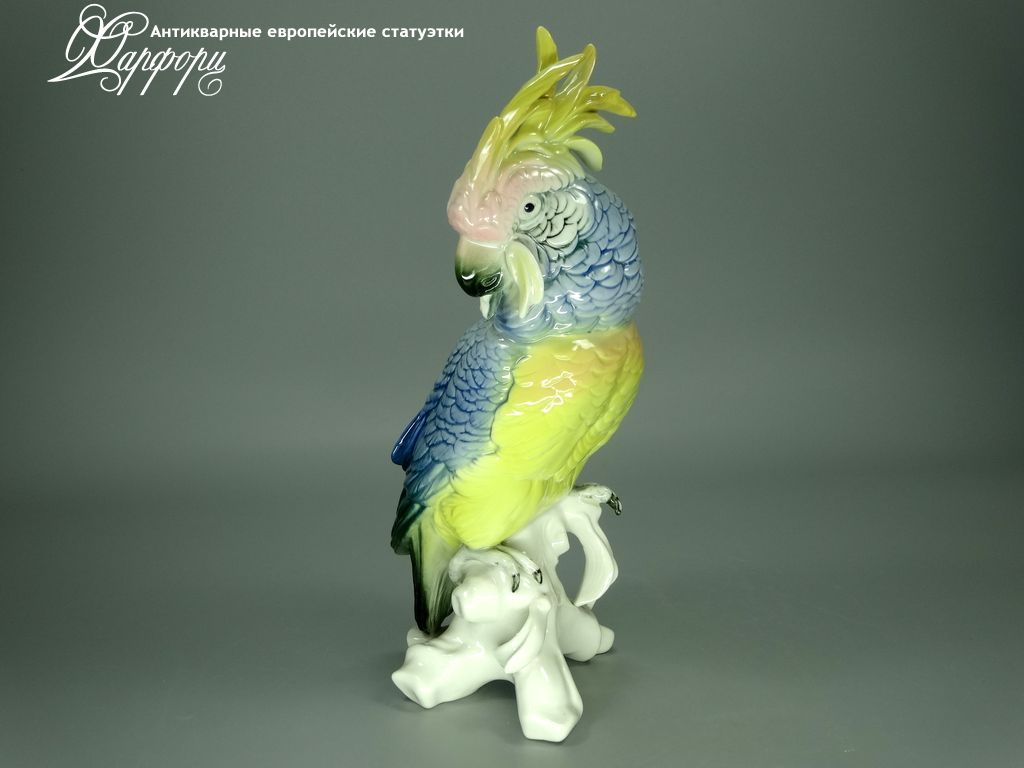 Купить фарфоровые статуэтки KARL ENS, Синий какаду, Германия